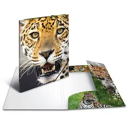 3 HERMA Sammelmappen DIN A4 Leoparden