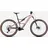 2025 29 Zoll 420 Wh desert rose/carbon raw matt L