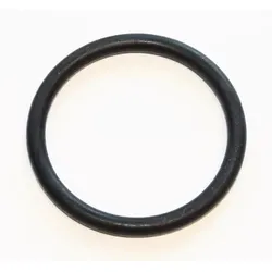 ELRING Dichtung, Wasserpumpe Kühlmittelrohr Wasserpumpe,Dichtung,  45mm für MERCEDES-BENZ BMW 0249976345 A0249976345 11517572792 284.670