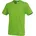 Kiwi Green L