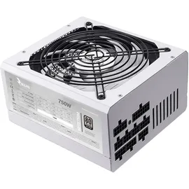 Mars Gaming MPZE750M, Modulares ATX 750W Netzteil, 10 Jahre Garantie, 80Plus Silber +87% Wirkungsgrad, 140mm FDB AI-RPM Lüfter, DC-DC und SMD Technologien, Japanische 105o Kondensatoren, Weiß