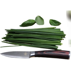 S-Hunter/Sauerland Hunter Kochmesser 9 cm Klinge Gemüsemesser, Scharf Obstmesser Schälmesser Küchen Messer, Deutsche Edelstahl Pakkaholz rutschfest Fingerschutz Geschenkkarton braun
