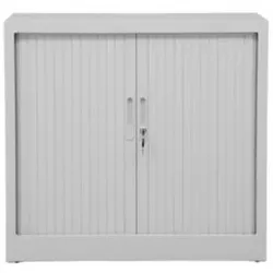 PROREGAL Rollladenschrank Weasel | 2 Ordernhöhen | HxBxT 75x80x46 cm | Grau