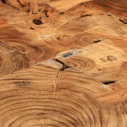 Couchtisch 4 Baumscheiben Massivholz | vidaXL : Farbe - Braun