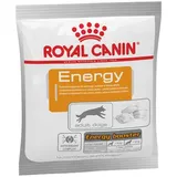 Royal Canin Snack Energy 50 g