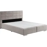 Cotta Boxspringbett COTTA "Simba", grau (elephant), L:209cm, Komplettbetten, Boxspringbett, Topseller wahlweise mit oder ohne Matratze und Topper bestellbar, Topseller