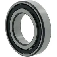 FAG Tonnenlager 20309 TC3