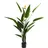 Kare DESIGN Deko Pflanze 51684 Paradise Flowers Kunststoff Grün