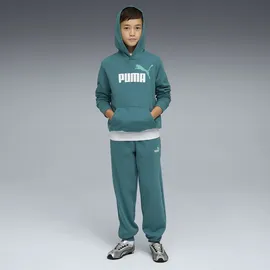 Puma ESS No. 1 Logo Sweatpants Emerald Ice 140