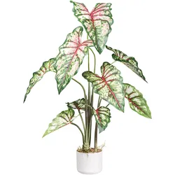 Künstliche Zimmerpflanze »Syngonium«, mit außergewöhnlichem Blattwerk, 28456224-0 grün H: 100 cm