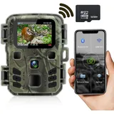 RecorCam Wildkamera WLAN Handyübertragung 24MP/1296P mit App, WiFi Bluetooth Wildtierkamera mit 850nm IR LEDs Low Glow Nachtsicht Jagdkamera 0,2s Schnelle Trigger mit 32G SD-Karte, für Wildbeobachtung