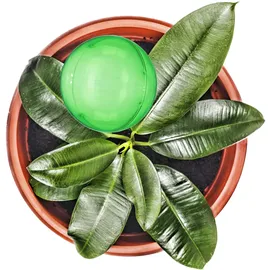 Relaxdays Bewässerungskugeln 4er Set 250 ml