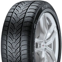 Platin RP-60 Winter 225/45 R17 91H Winterreifen