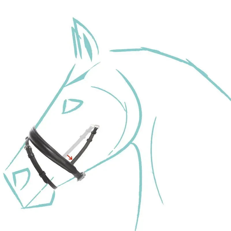 Kavalkade Englisch kombiniertes Reithalfter Cre8, Spezialgröße (WB-breit) - Braun - WB-breit