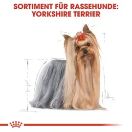 Royal Canin Yorkshire Terrier Adult 1,5 kg