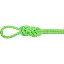 Mammut 8.0 Alpine Dry Halbseil grün