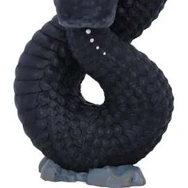 Nemesis Now Ouroboros schwarz, Geschenke, Gothic Polyresin Standard