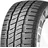 Evergreen EW616 225/75 R16 118R Winterreifen
