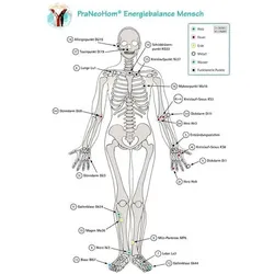 Akupunktur-Tafel Mensch