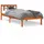 vidaXL Massivholzbett 100 x 200 cm Wachsbraun