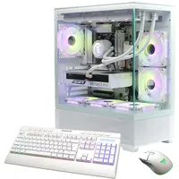 Hyrican GAMEMAX ICE 7766 Ryzen 5 9600X 64 GB
