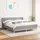 vidaXL Boxspringbett mit Matratze Hellgrau 160x200 cm Stoff - Grau