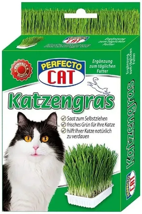 Perfecto Cat Katzengras Saat mit Pflanzschale 100 g