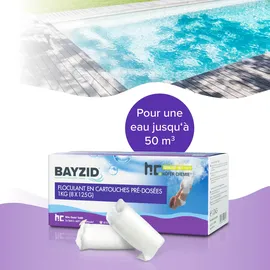 Bayzid Höfer Chemie Gmbh - 4x 1 kg Flockkartusche für Pools