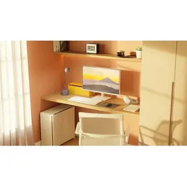 JAPANNEXT Monitor 28"