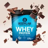 Whey Protein - 1000g - Double Chocolate