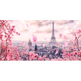 Queence Garderobenleiste »Paris«, (1 St.), 54115752-0 rosa B/H/T: 60 cm x 30 cm x 1,5 cm,