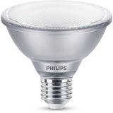 Philips Keystone LED-Lampe