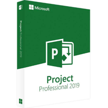 Microsoft Project Professional 2019 ESD ML Win