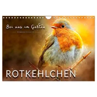 Calvendo Bei uns im Garten - Rotkehlchen (Wandkalender 2026