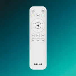 Philips Bliss Deckenventilator mit Beleuchtung 106 cm Schwarz