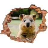 WallSpirit WCB Wandtattoo - Wanddurchbruch mit Aussicht auf Quokka 90x74 cm - Wandaufkleber