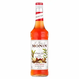 Monin Winter Spice - Monin Sirup 0,7l)