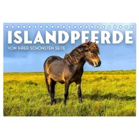Calvendo Islandpferde - Von ihrer schönsten Seite (Tischkalender 2026