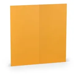 Briefkarte HD DL PL ocker ger. 16406943 100x210mm