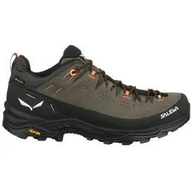 Salewa Alp Trainer 2 GTX Herren Bungee Cord/Black 46