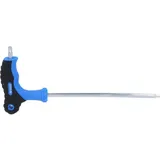 BRILLIANT TOOLS T-Griff-Torx® mit Stirnlochbohrung T30 x 150 mm