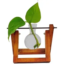 Winkee Hydrovase Lilly 7 x 11 cm Transparent