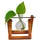 Winkee Hydrovase Lilly 7 x 11 cm Transparent