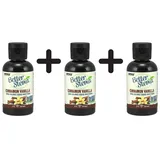 NOW Foods Better Stevia Liquid Extract, Cinnamon Vanilla - EUR/L)