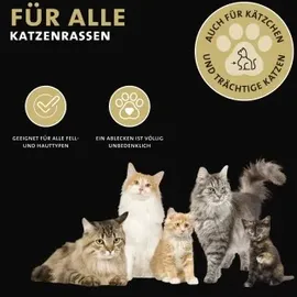 Peticare Zecken-Schutz Mittel für Katzen Spot-On 100 ml