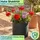 ethick Moderner Blumentopf Rund Ø 38 x 31 cm Anthrazit