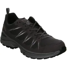 Lowa Innox EVO II GTX Schuhe (Größe 45