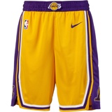 Nike Los Angeles Lakers Basketball-Shorts Herren