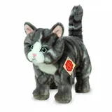 Teddy-Hermann Katze stehend