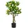 vidaXL Zitronenbaum Künstlich 234 Blätter 90 cm Grün,
